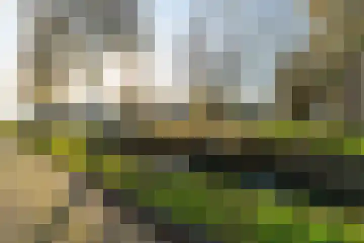 Meidoornhof 13 Woudrichem thumbnail 4