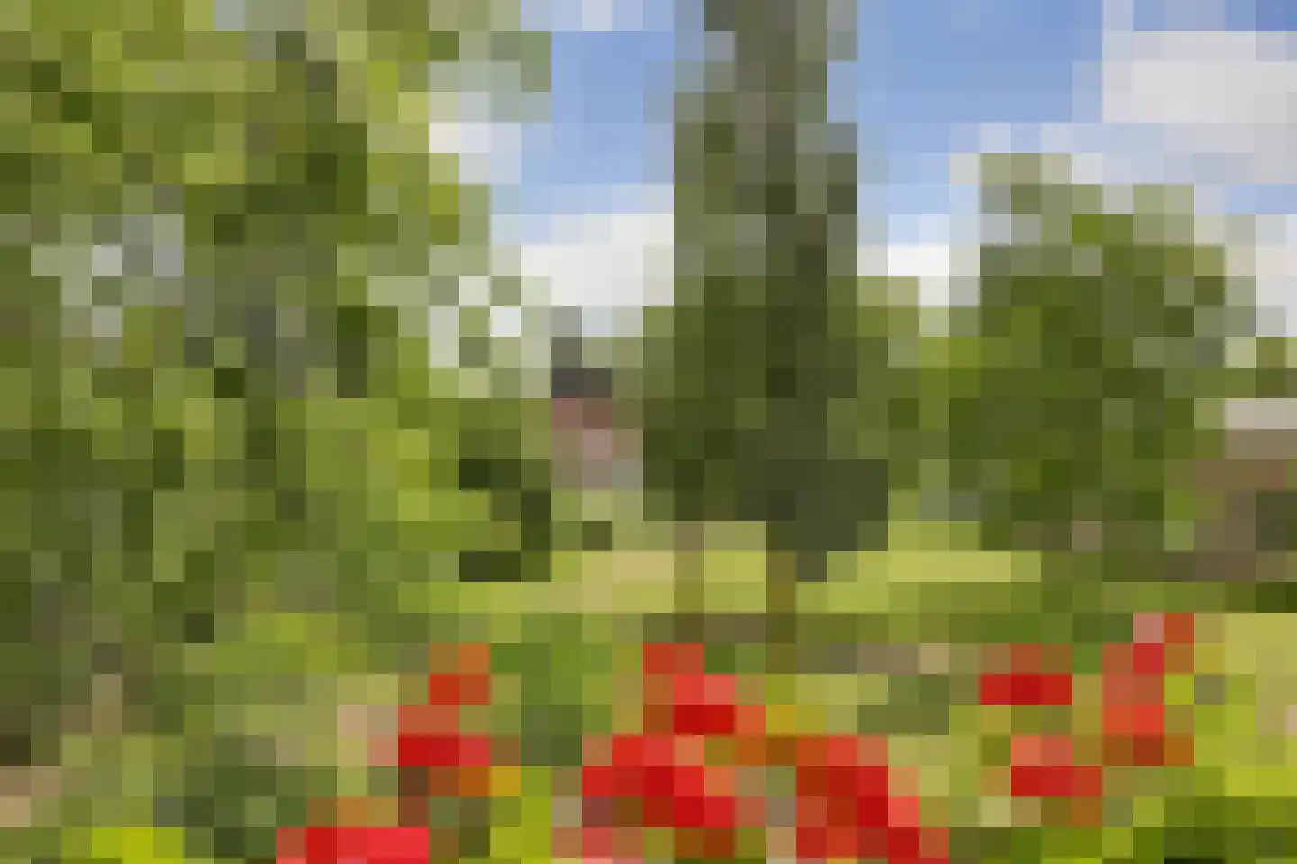 Meidoornhof 16 Woudrichem thumbnail 4