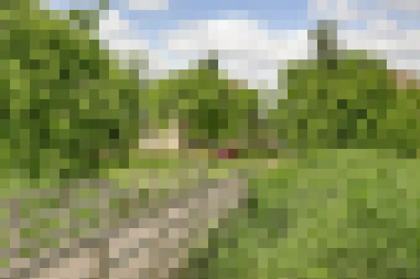 Meidoornhof 16 Woudrichem thumbnail 47