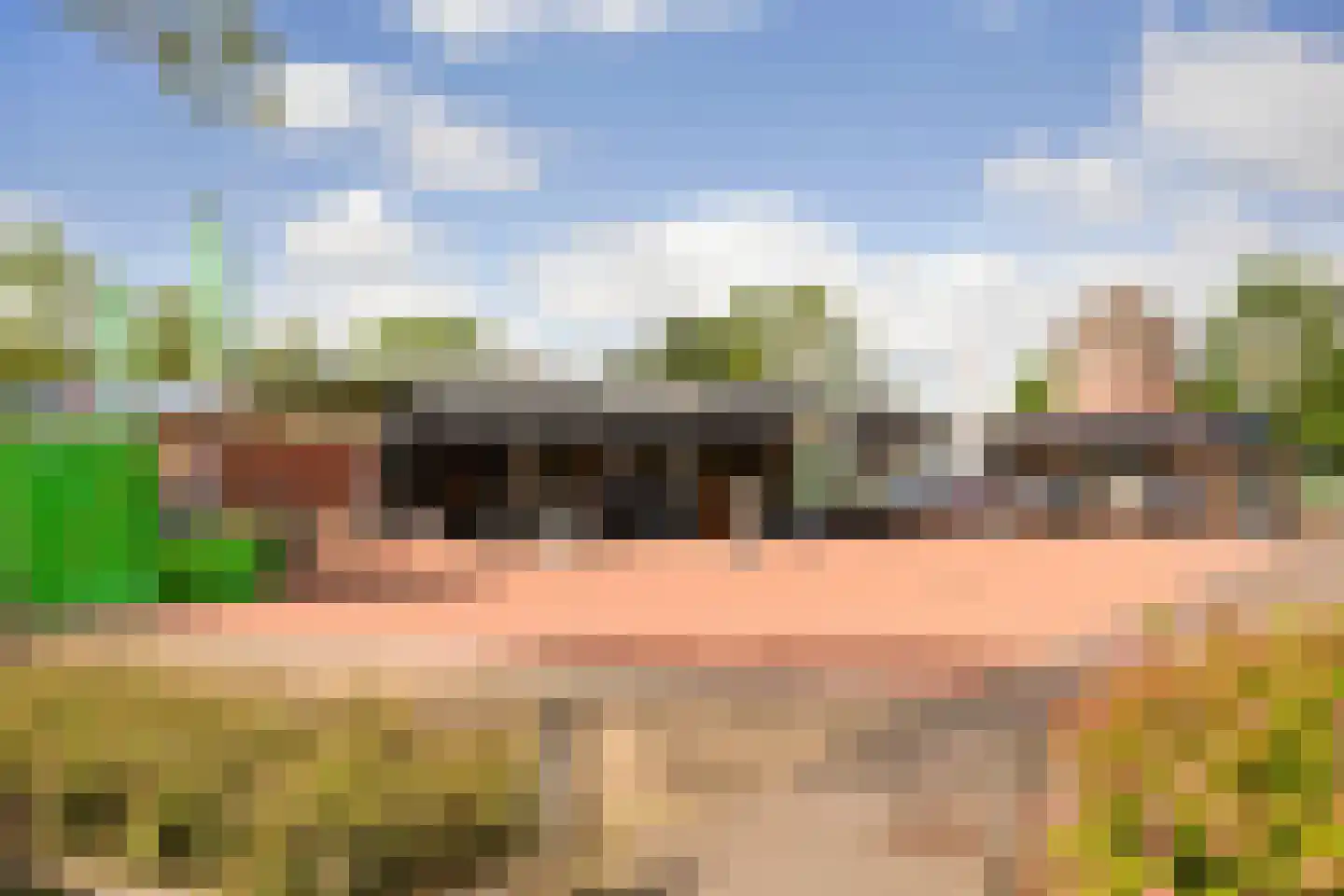 Meidoornhof 16 Woudrichem thumbnail 48