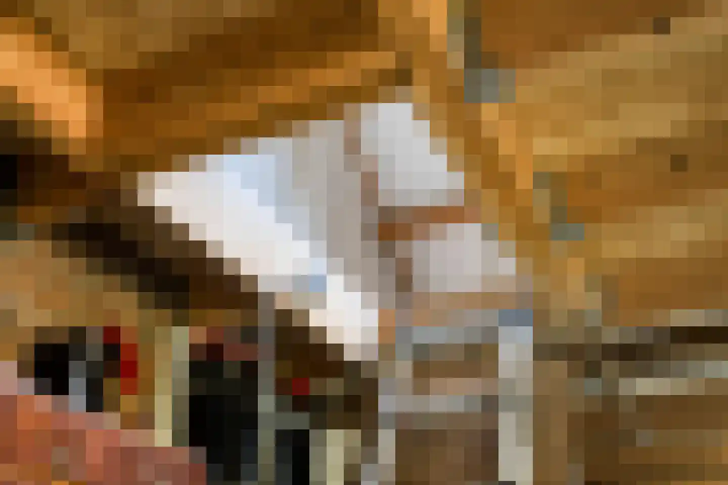 Meidoornhof 17 Kampen thumbnail 31
