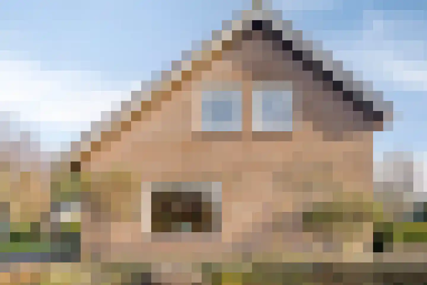 Meidoornhof 17 Kampen thumbnail 56