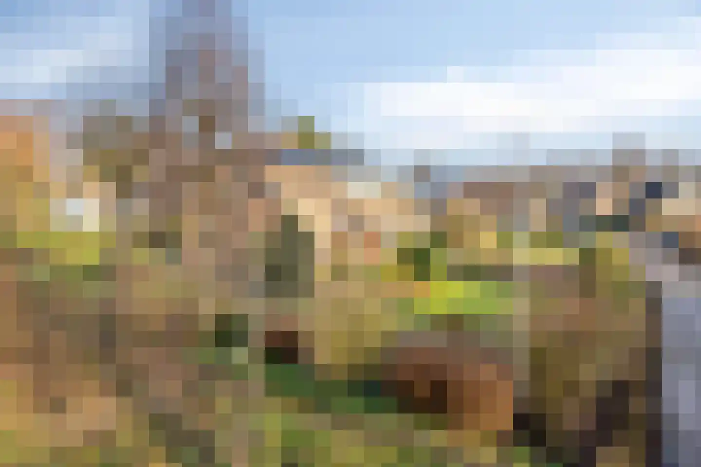 Meidoornhof 17 Kampen thumbnail 57