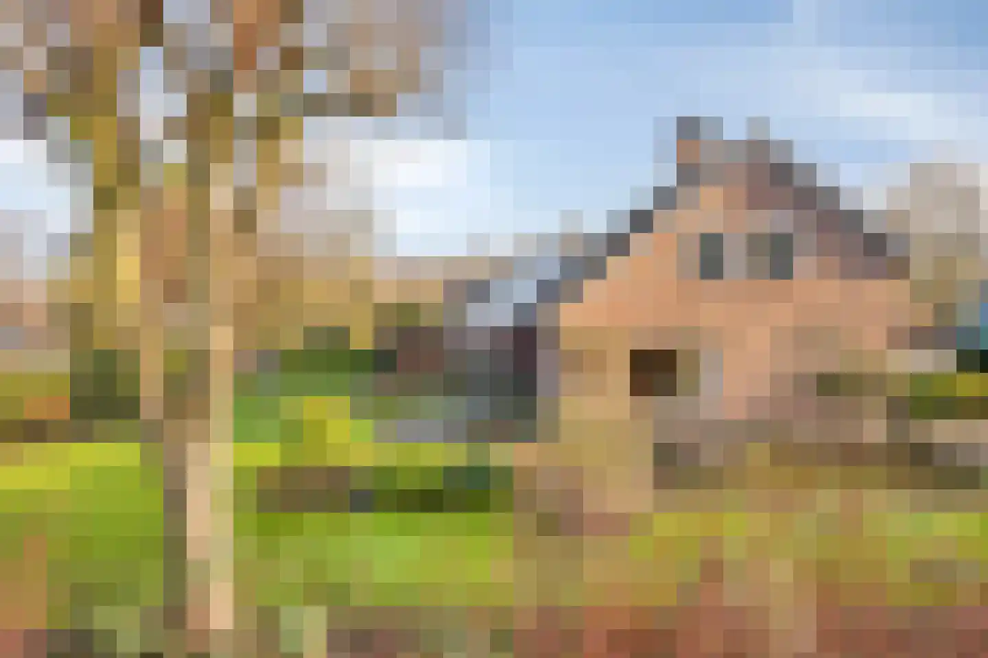 Meidoornhof 17 Kampen thumbnail 58