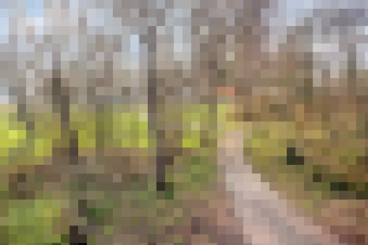 Meidoornhof 17 Kampen thumbnail 63