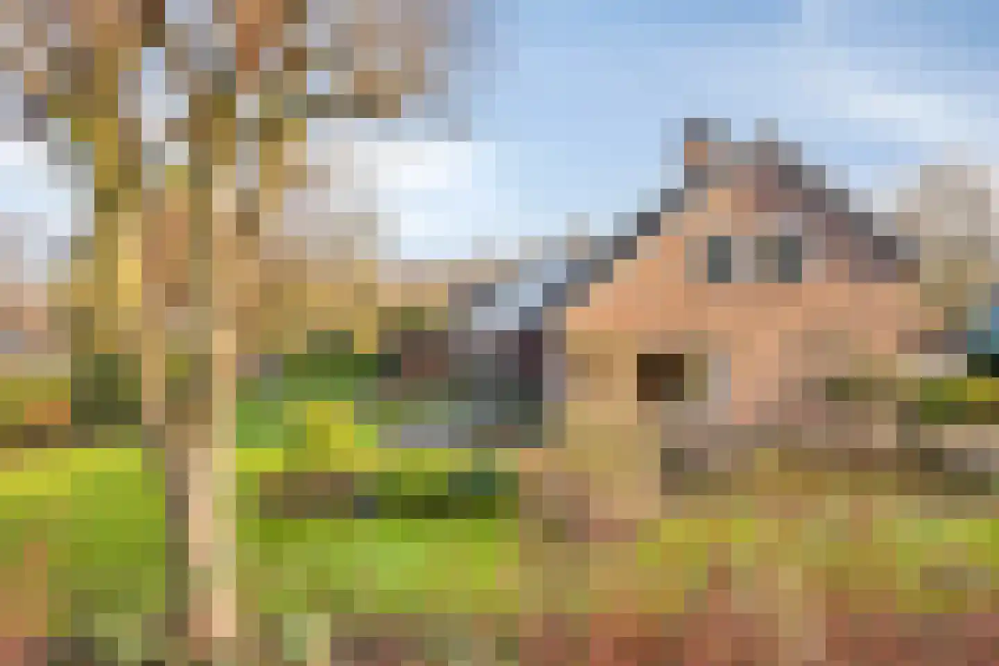 Meidoornhof 17 Kampen thumbnail 7