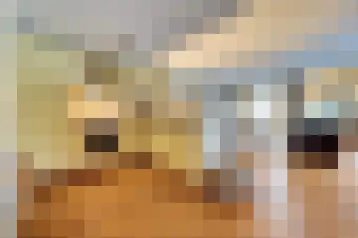 Meidoornhof 18 Woudrichem thumbnail 18