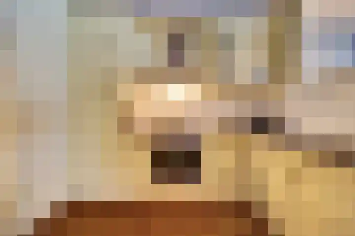Meidoornhof 18 Woudrichem thumbnail 23