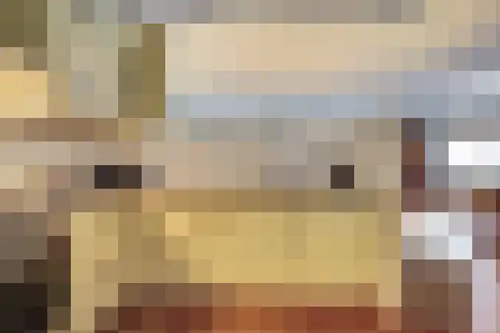 Meidoornhof 18 Woudrichem thumbnail 24