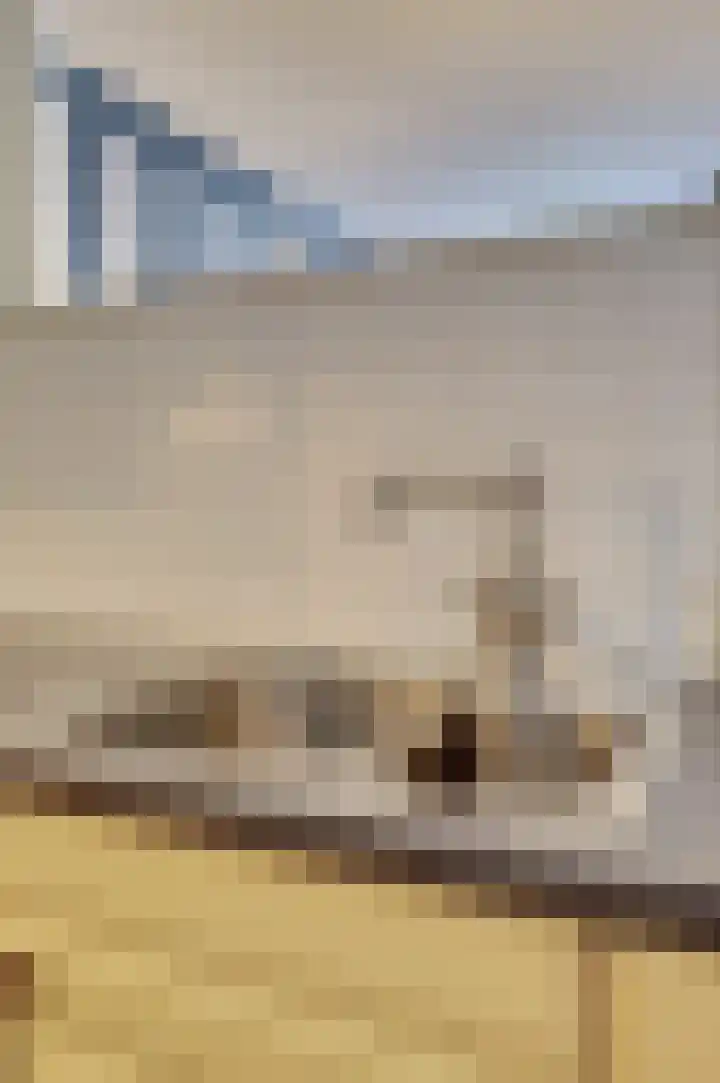 Meidoornhof 18 Woudrichem thumbnail 25