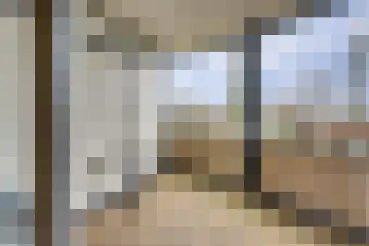 Meidoornhof 18 Woudrichem thumbnail 38