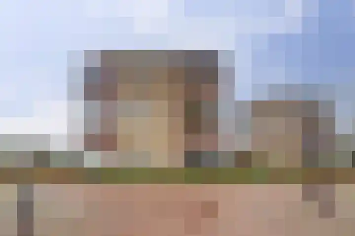 Meidoornhof 18 Woudrichem thumbnail 46