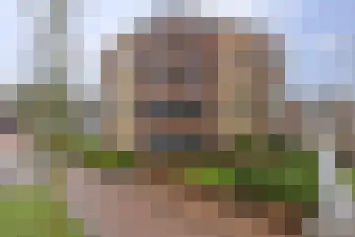 Meidoornhof 18 Woudrichem thumbnail 47