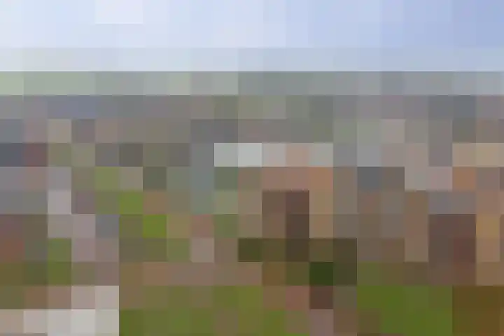 Meidoornhof 18 Woudrichem thumbnail 48