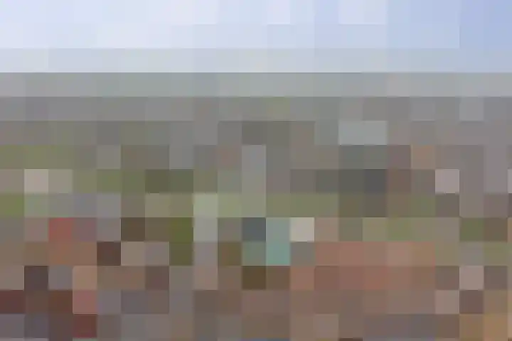 Meidoornhof 18 Woudrichem thumbnail 49