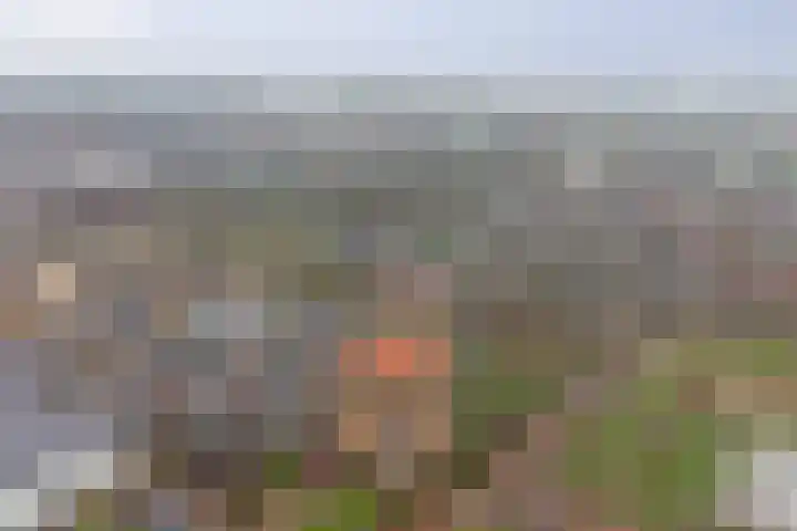 Meidoornhof 18 Woudrichem thumbnail 50