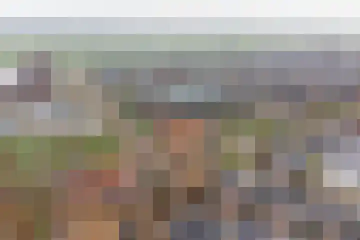 Meidoornhof 18 Woudrichem thumbnail 52