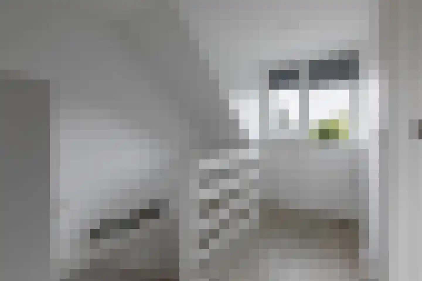 Meidoornhof 22 Leusden thumbnail 36