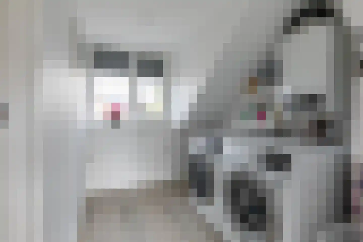 Meidoornhof 22 Leusden thumbnail 37