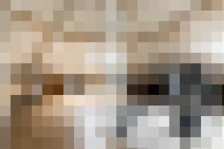 Meidoornhof 27 Woudrichem thumbnail 32