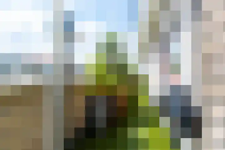 Meidoornhof 27 Woudrichem thumbnail 37