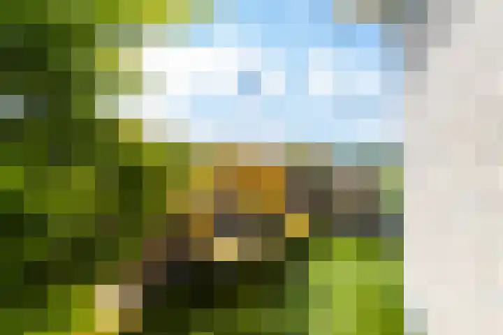 Meidoornhof 27 Woudrichem thumbnail 38