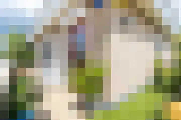 Meidoornhof 27 Woudrichem thumbnail 39