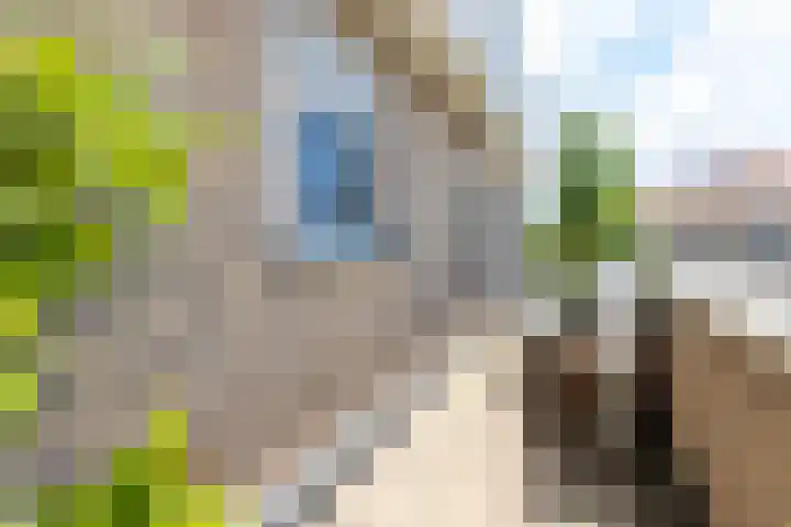 Meidoornhof 27 Woudrichem thumbnail 40