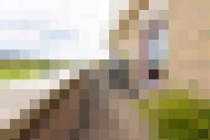 Meidoornhof 27 Woudrichem thumbnail 41