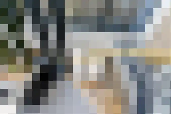 Meidoornhof 27 Woudrichem thumbnail 7