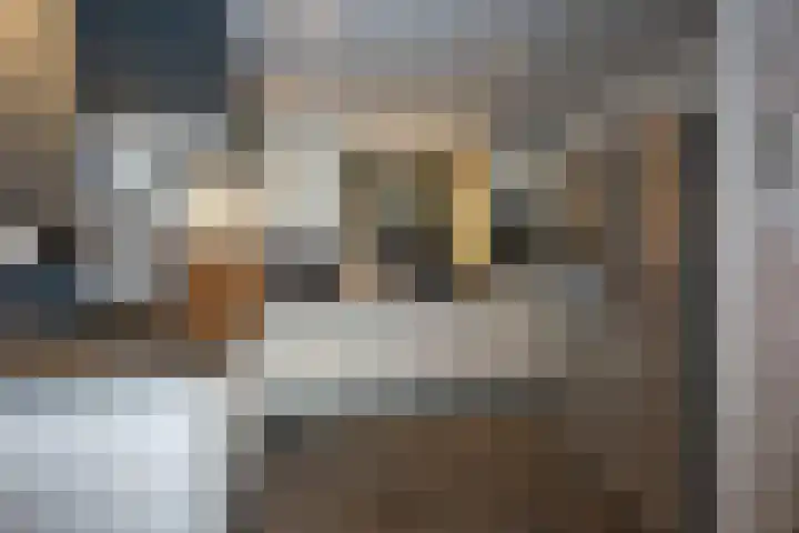 Meidoornhof 33 Borne thumbnail 12