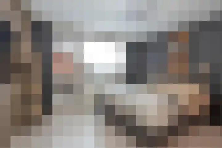 Meidoornhof 33 Borne thumbnail 20