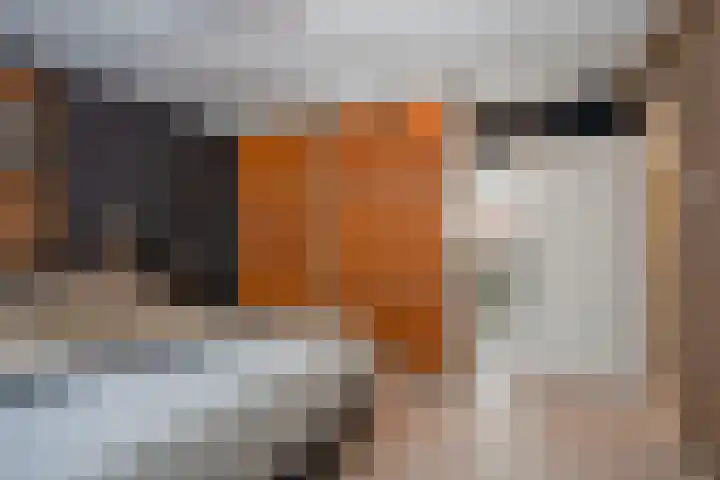 Meidoornhof 33 Borne thumbnail 22