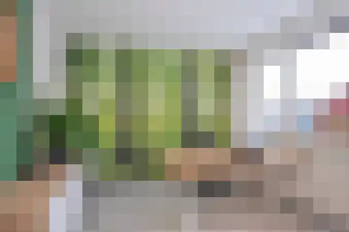 Meidoornhof 33 Borne thumbnail 23