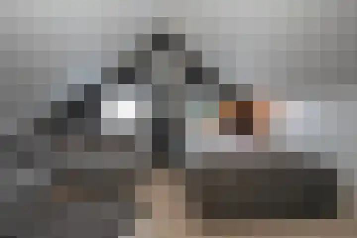 Meidoornhof 33 Borne thumbnail 31