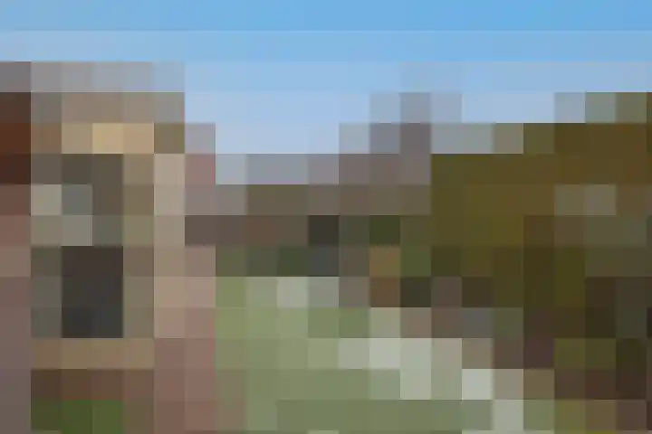 Meidoornhof 33 Borne thumbnail 36