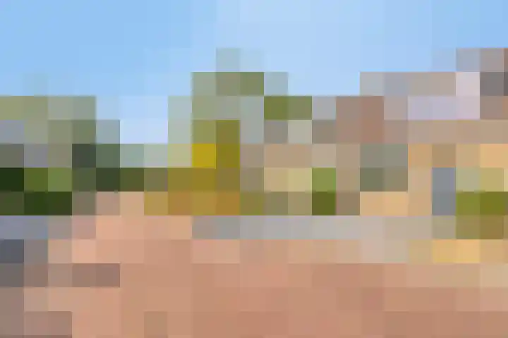 Meidoornhof 8 's-Gravenpolder foto 2