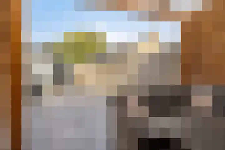 Meidoornhof 8 's-Gravenpolder thumbnail 21