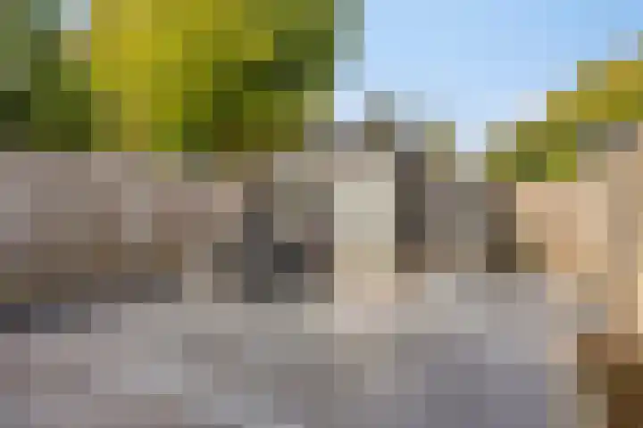 Meidoornhof 8 's-Gravenpolder thumbnail 22