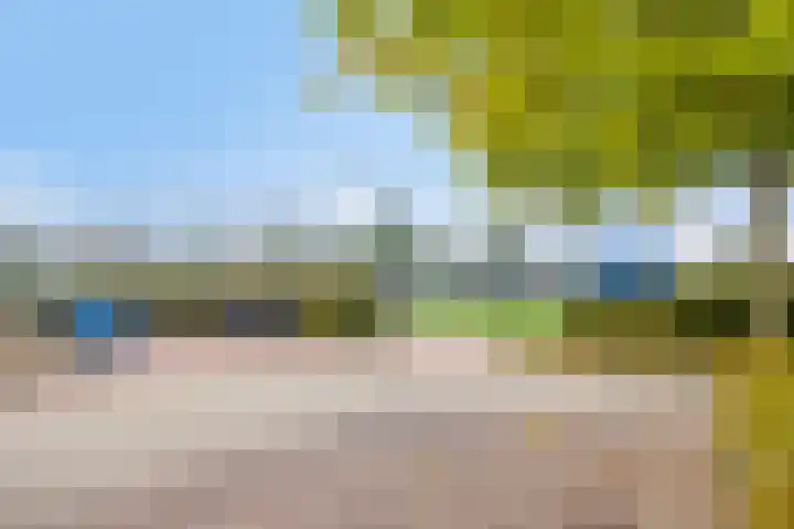 Meidoornhof 8 's-Gravenpolder thumbnail 24