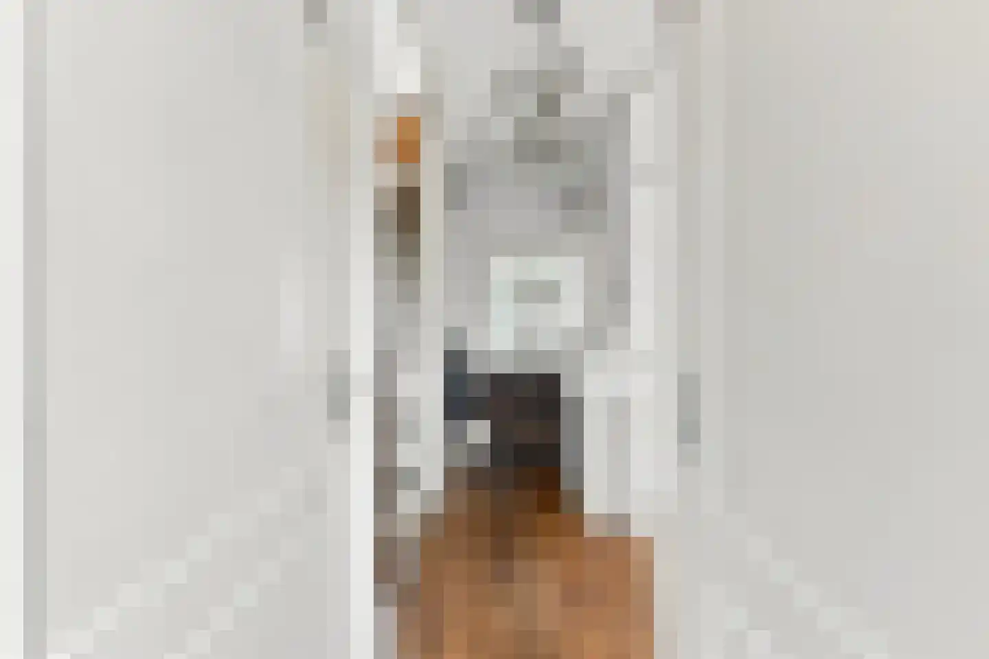 Meidoornhof 9 De Lier thumbnail 23
