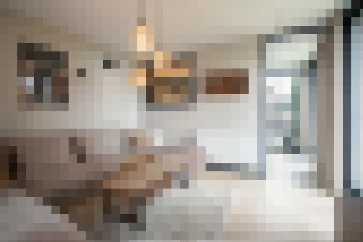 Meidoornlaan 1 Roermond thumbnail 11