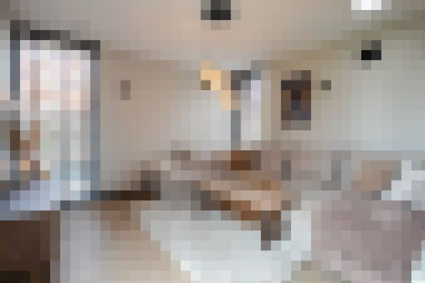 Meidoornlaan 1 Roermond thumbnail 12