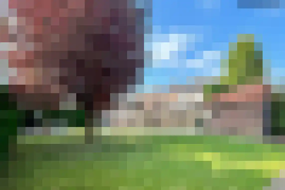 Meidoornlaan 1 Roermond thumbnail 22