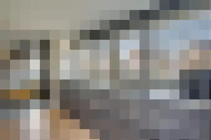 Meidoornlaan 1 Tegelen thumbnail 22