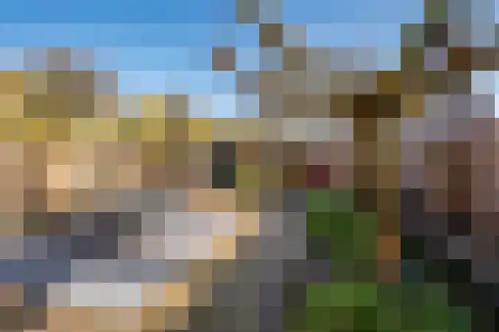 Meidoornlaan 1 Tegelen thumbnail 52