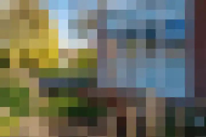 Meidoornlaan 1 Tegelen thumbnail 56