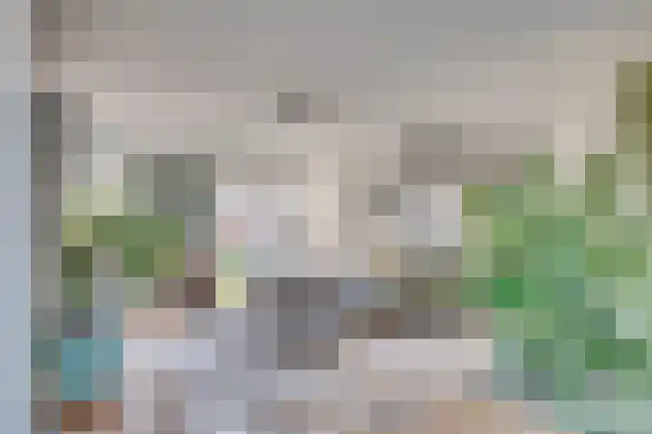 Meidoornlaan 1 Tegelen thumbnail 7