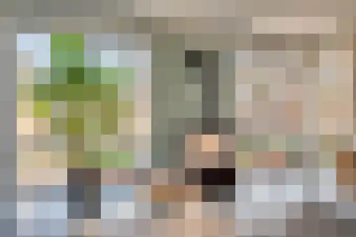 Meidoornlaan 1 Tegelen thumbnail 9