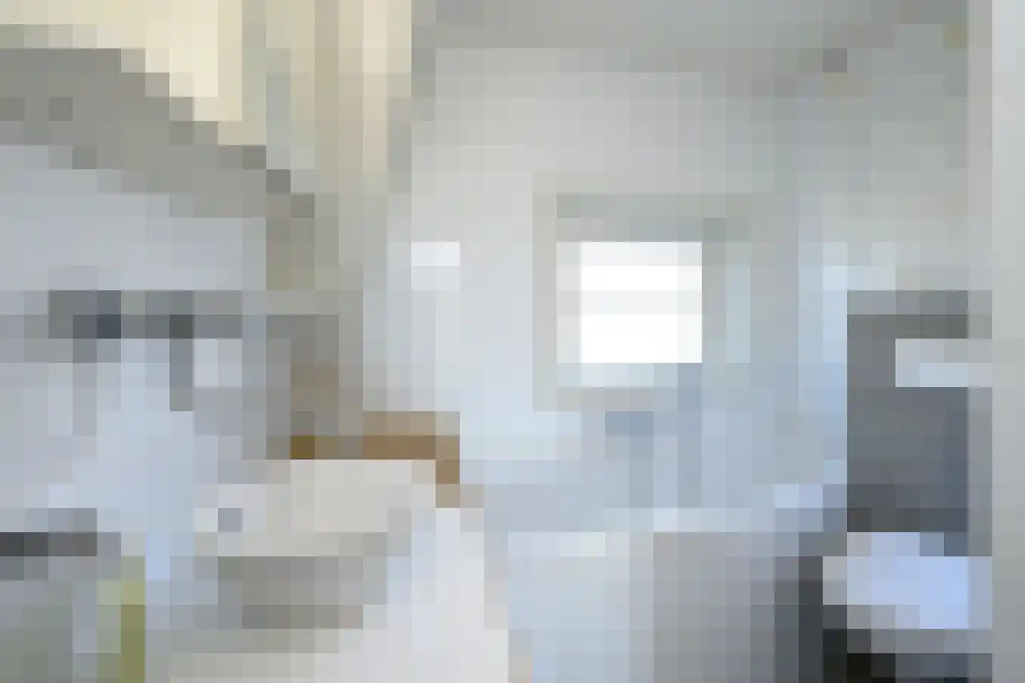 Meidoornlaan 10 Brummen thumbnail 19